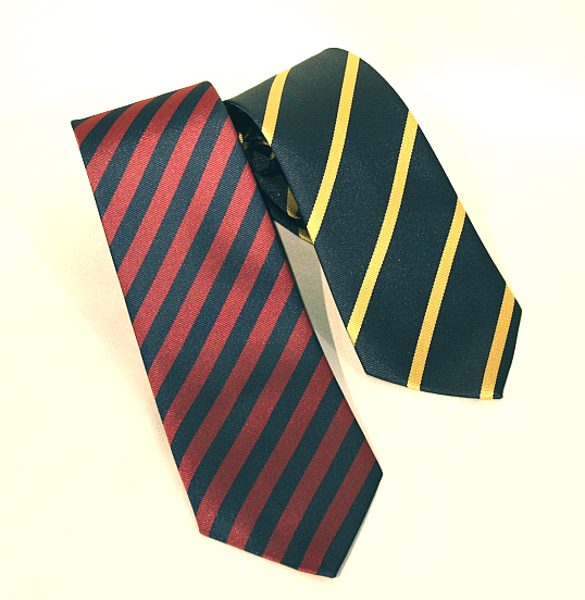 専修大松戸高校3